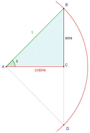 The sine and cosine are line segments of the unit circle