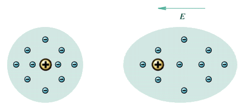 Un-polarised atom (left) and polarised atom (right)