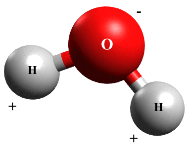 A water molecule has two polar covalent bonds