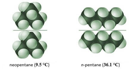 The strength of intermolecular bonds depends on shape and surface area