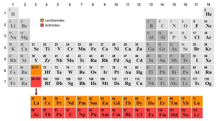 The lanthanides and actinides