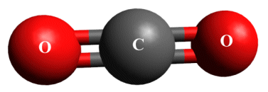 Double covalent bonds in a carbon dioxide molecule