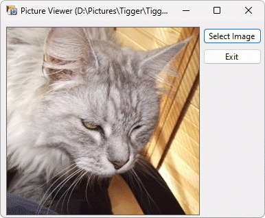 The ImageViewer application displaying an image