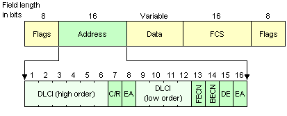 The standard frame relay frame format