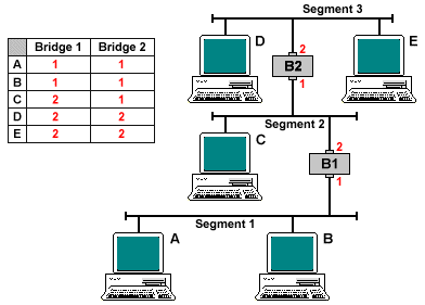 Bridges learn about the network segments they are connected to