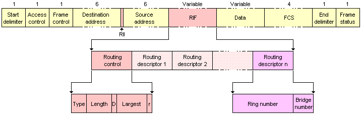 The routing information field in a Token Ring data/command frame