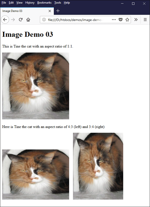 This page displays the same photographic image with different aspect ratios