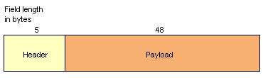 The basic format of an ATM cell
