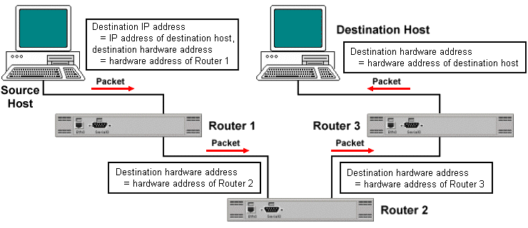 The source and destination hardware addresses change as the packet traverses the internetwork, while the source and destination IP addresses remain constant