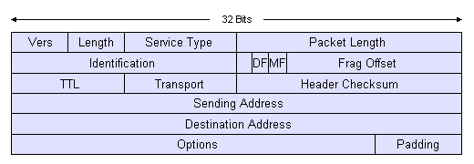 The IPv4 datagram header