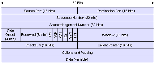 TCP protocol data unit format