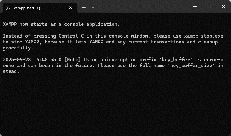 XAMPP starts as a console application