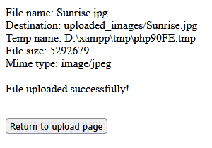 The file has been uploaded successfully