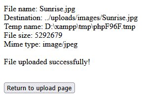 The file was successfully uploaded to the uploads/images folder